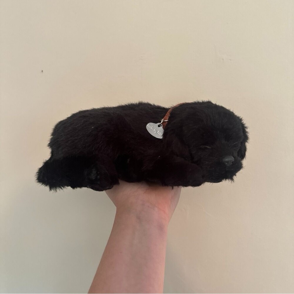 Perfect Petzzzz Black Lab Sleeping Puppy Dog Toy or Decor